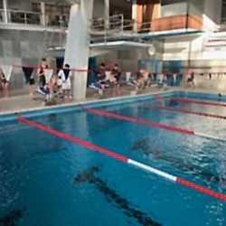 Die Schwimmmannschaft der Zinzendorfschulen jubelt