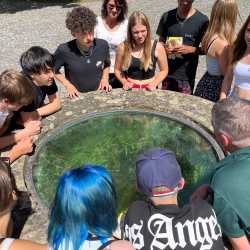 8R pflegt den Forst im Waldschulheim 8R pflegt den Forst im Waldschulheim