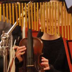 Adventssingstunde der Zinzendorfschulen mit modernen und traditionellen Klängen Adventssingstunde der Zinzendorfschulen mit modernen und traditionellen Klängen