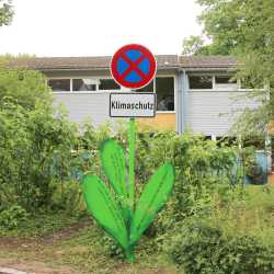 Bemerkenswerte Blumen erblühen auf Schulhof Bemerkenswerte Blumen erblühen auf Schulhof