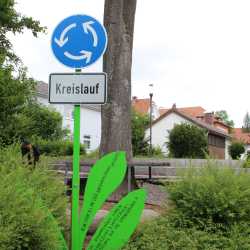 Bemerkenswerte Blumen erblühen auf Schulhof Bemerkenswerte Blumen erblühen auf Schulhof