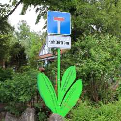 Bemerkenswerte Blumen erblühen auf Schulhof Bemerkenswerte Blumen erblühen auf Schulhof