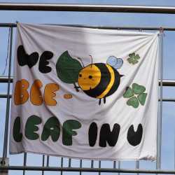 Deutschprüfung am ZG und SWG Deutschprüfung am ZG und SWG