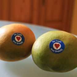 Die Mangos sind da! Die Mangos sind da!