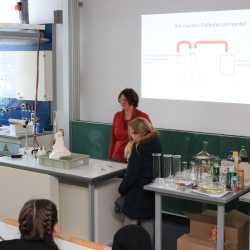 Ein Haus mit vielen Zimmern Ein Haus mit vielen Zimmern