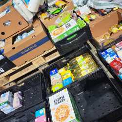 Ein Teil mehr im Einkaufswagen: Erfolgreicher Einsatz bei 72-Stunden-Aktion Ein Teil mehr im Einkaufswagen: Erfolgreicher Einsatz bei 72-Stunden-Aktion