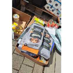 Ein Teil mehr im Einkaufswagen: Erfolgreicher Einsatz bei 72-Stunden-Aktion Ein Teil mehr im Einkaufswagen: Erfolgreicher Einsatz bei 72-Stunden-Aktion