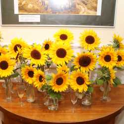 Erinnern. Verbinden. Feiern. – Wo Gemeinschaft über Generationen hinweg lebt Erinnern. Verbinden. Feiern. – Wo Gemeinschaft über Generationen hinweg lebt