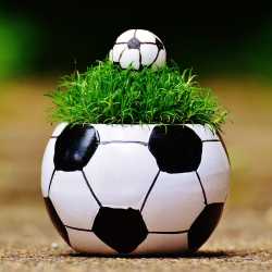 Europameisterliches in der Mensa Europameisterliches in der Mensa