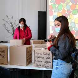 Fachschulen entwickeln Module zur Demokratiebildung Fachschulen entwickeln Module zur Demokratiebildung