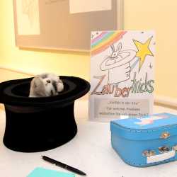 Fachschulen entwickeln Module zur Demokratiebildung Fachschulen entwickeln Module zur Demokratiebildung