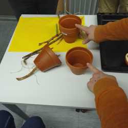 Festschmaus für heimische Vögel Festschmaus für heimische Vögel