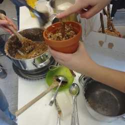 Festschmaus für heimische Vögel Festschmaus für heimische Vögel