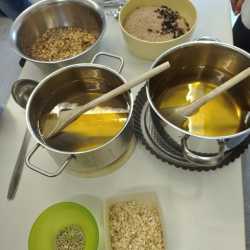 Festschmaus für heimische Vögel Festschmaus für heimische Vögel