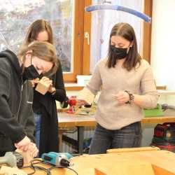 Geballtes Wissen und viel Spaß ums Thema Wildbienen Geballtes Wissen und viel Spaß ums Thema Wildbienen