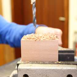 Geballtes Wissen und viel Spaß ums Thema Wildbienen Geballtes Wissen und viel Spaß ums Thema Wildbienen