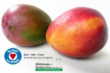 Großer Mango-Verkauf startet