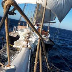 Hanna segelt über den Atlantik