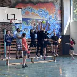 Hühner auf der Stange – das Gelbe vom Ei! Hühner auf der Stange – das Gelbe vom Ei!