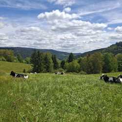 Hüttenwochenende: Drei Tage voller Lachen, Lagerfeuer und echter Gemeinschaft Hüttenwochenende: Drei Tage voller Lachen, Lagerfeuer und echter Gemeinschaft