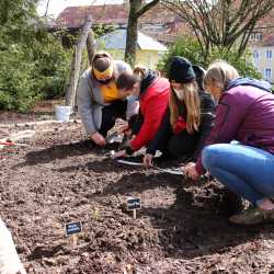 Praktische Naturpädagogik: Fachschüler legen Garten an Praktische Naturpädagogik: Fachschüler legen Garten an