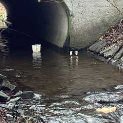 Schiff Ahoi für die 6Ra Schiff Ahoi für die 6Ra