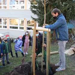 Fünftklässler pflanzen seltene Linde Fünftklässler pflanzen seltene Linde