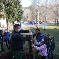 Fünftklässler pflanzen seltene Linde Fünftklässler pflanzen seltene Linde