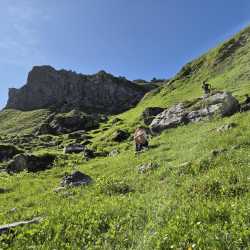 Drei Tage, Glaziallandschaften, Höhenmeter und Döner Drei Tage, Glaziallandschaften, Höhenmeter und Döner