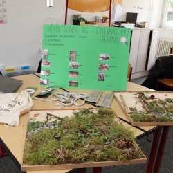 Angehende Erzieher*innen präsentieren ihre Teampraktika Angehende Erzieher*innen präsentieren ihre Teampraktika