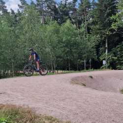 Projekttage bieten bunte Vielfalt beim „Markt der Möglichkeiten“ Projekttage bieten bunte Vielfalt beim „Markt der Möglichkeiten“