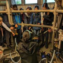 Spannende Einblicke in die Bio-Landwirtschaft Spannende Einblicke in die Bio-Landwirtschaft