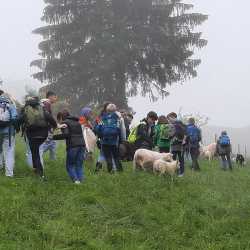 Spannende Einblicke in die Bio-Landwirtschaft Spannende Einblicke in die Bio-Landwirtschaft