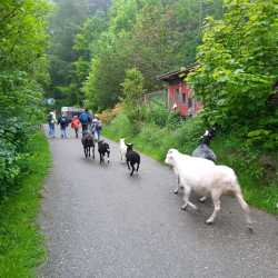 Spannende Einblicke in die Bio-Landwirtschaft Spannende Einblicke in die Bio-Landwirtschaft