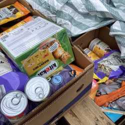 Ein Teil mehr im Einkaufswagen: Erfolgreicher Einsatz bei 72-Stunden-Aktion Ein Teil mehr im Einkaufswagen: Erfolgreicher Einsatz bei 72-Stunden-Aktion