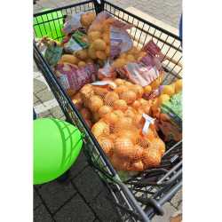 Ein Teil mehr im Einkaufswagen: Erfolgreicher Einsatz bei 72-Stunden-Aktion Ein Teil mehr im Einkaufswagen: Erfolgreicher Einsatz bei 72-Stunden-Aktion