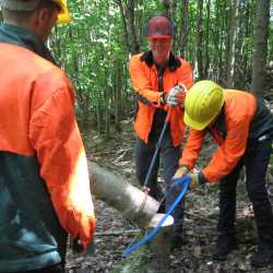 Arbeitseinsatz im Waldschulheim Arbeitseinsatz im Waldschulheim