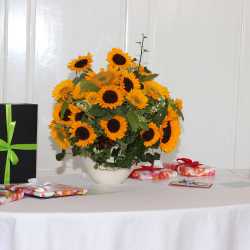 15 Sonderpreise für 31 Abiturienten 15 Sonderpreise für 31 Abiturienten