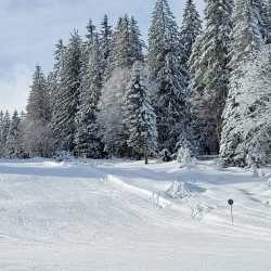 Siebtklässler haben Spaß im Schnee Siebtklässler haben Spaß im Schnee