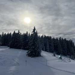 Siebtklässler haben Spaß im Schnee Siebtklässler haben Spaß im Schnee