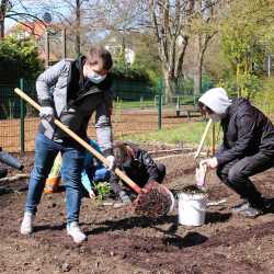 Praktische Naturpädagogik: Fachschüler legen Garten an