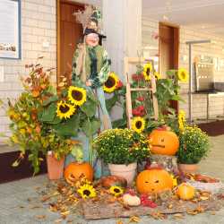 Toll dekorierte Mensa zur Herbstfestwoche Toll dekorierte Mensa zur Herbstfestwoche