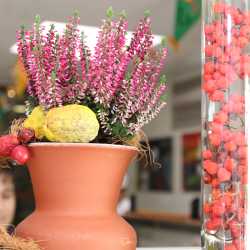 Toll dekorierte Mensa zur Herbstfestwoche Toll dekorierte Mensa zur Herbstfestwoche