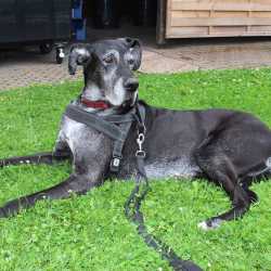 Au revoir, mae alsalama, uf Wiederluege, zàijiàn und Tschüss! Abschied von den Absolventen Au revoir, mae alsalama, uf Wiederluege, zàijiàn und Tschüss! Abschied von den Absolventen