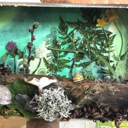 Jahresrückblick 2021 Jahresrückblick 2021