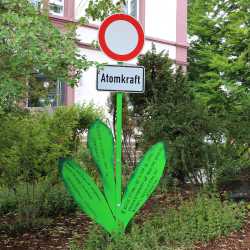 Bemerkenswerte Blumen erblühen auf Schulhof Bemerkenswerte Blumen erblühen auf Schulhof