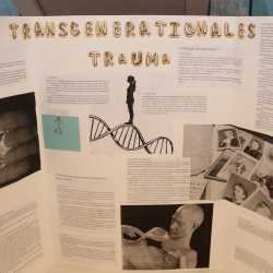 Lernexpedition am SWG: Schülerinnen und Schüler wachsen beim Deeper Learning über sich hinaus Lernexpedition am SWG: Schülerinnen und Schüler wachsen beim Deeper Learning über sich hinaus