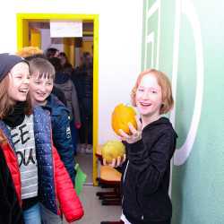 Mangoverkauf erbringt fast 3000 Euro für Burkina Faso Mangoverkauf erbringt fast 3000 Euro für Burkina Faso