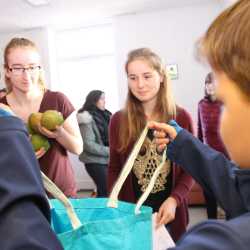 Mangoverkauf erbringt fast 3000 Euro für Burkina Faso Mangoverkauf erbringt fast 3000 Euro für Burkina Faso