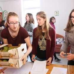 Mangoverkauf erbringt fast 3000 Euro für Burkina Faso Mangoverkauf erbringt fast 3000 Euro für Burkina Faso